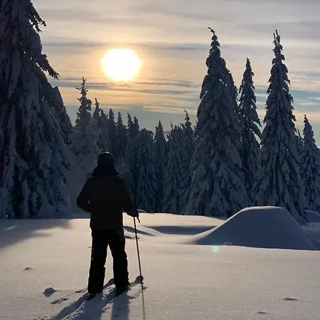 Zimski * Копаоник